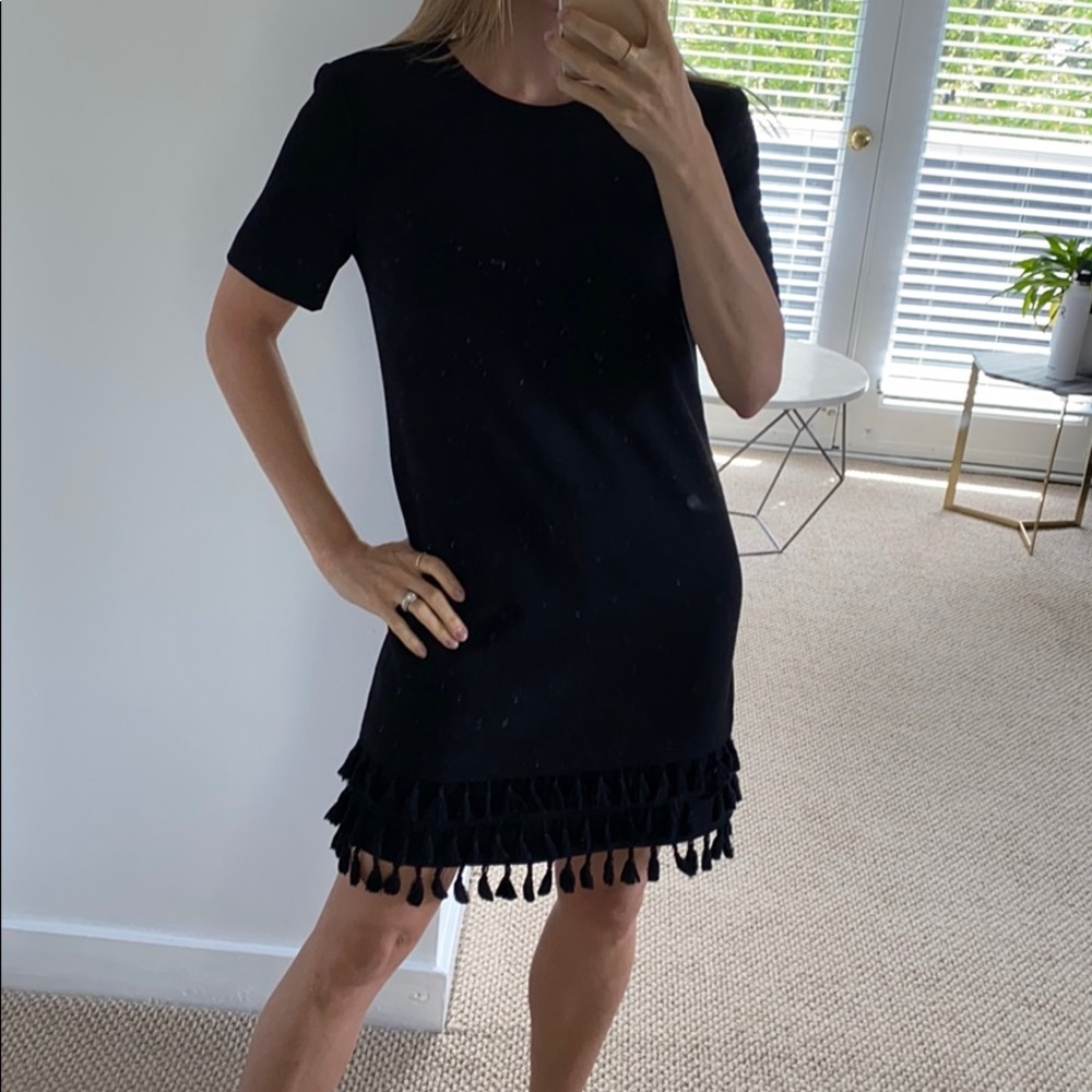 Zara short sleeve shift tassel dress